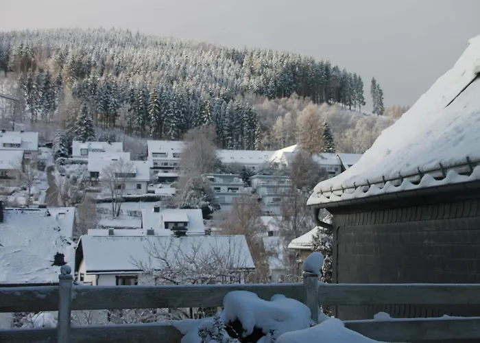 Ferienhaus Winterberg Fuer 12 Personen Sauna Garten Garage Hund