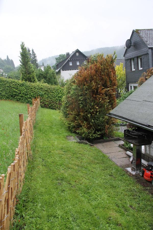 Fuer 12 Personen Sauna Garten Garage Hund Winterberg