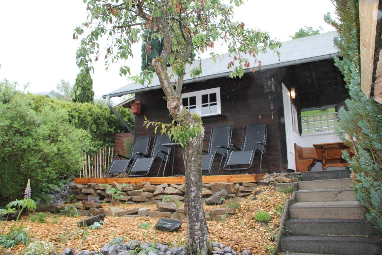 Fuer 12 Personen Sauna Garten Garage Hund Ferienhaus *