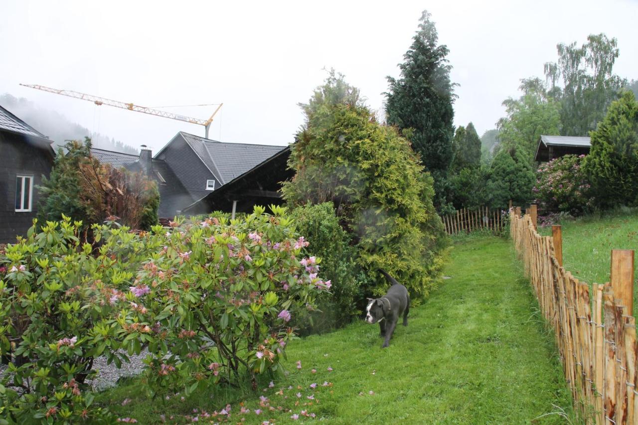 Fuer 12 Personen Sauna Garten Garage Hund * Winterberg