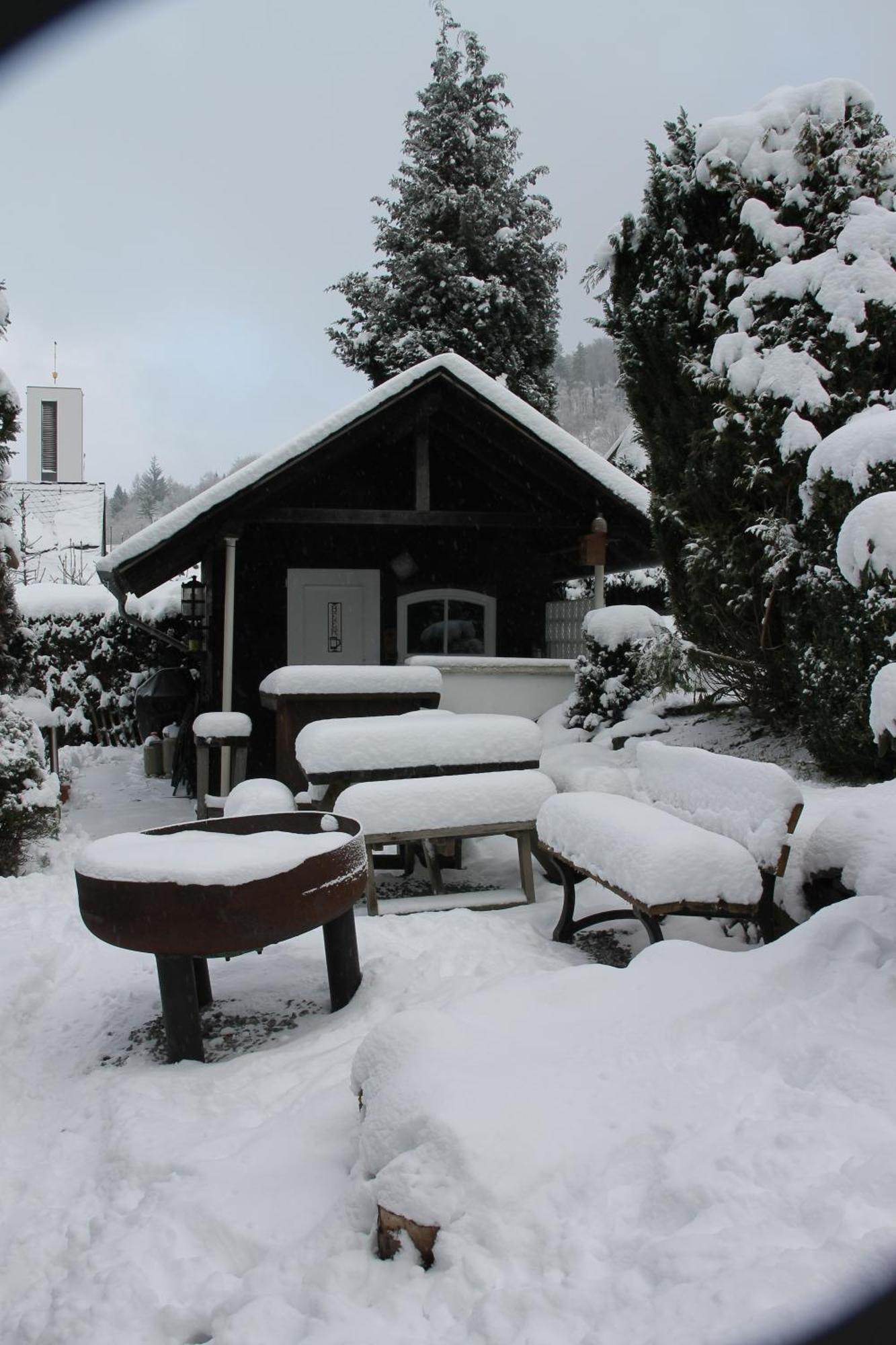 Fuer 12 Personen Sauna Garten Garage Hund * Winterberg